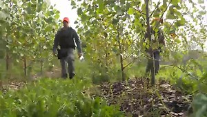 Kingston hold training exercise for finding missing persons.