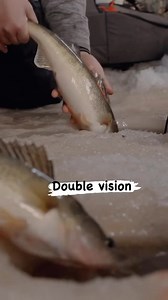 14K views · 103 reactions | Double Vision Fish Release Friday!  #WeAreWalleye #TeamNorthlandTackle | Northland Fishing Tackle | Facebook