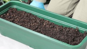Girl Planting Young Seedlings Pots: vídeo stock (100% livre de direitos) 1102563751 | Shutterstock