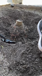 687K views · 1.9K reactions | Tree stump removal #stumpremoval #treestump #treeremoval #treeservice #stumpgrinding #blondeokie | Blonde Okie | Facebook