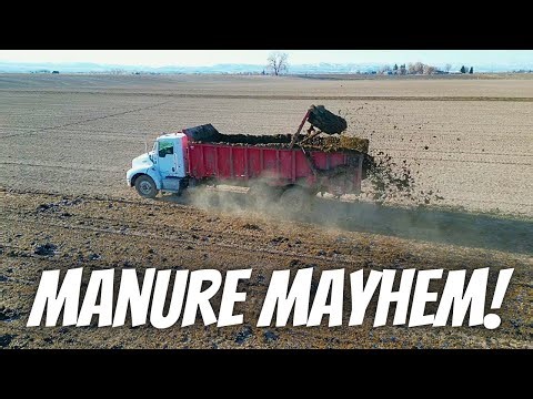 From Cows to Crops – The Power of Manure Revealed!