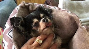 Awe 😕 | The Mia Foundation - Love For Mia