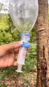 53K views · 507 reactions | Survival SkillsSIMPLE and useful save Soap and Water in forest camping outdoors survival forest bushcraft #survivalskills #SurvivalStory #survival #hiking #outdoors | Halic Survival | Facebook