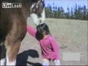 Ataque de Caballo (Real)