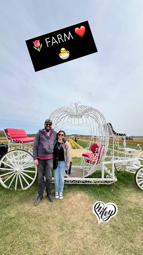 Tulip 🌷 Farm 🚜 Easter 🐣 Lobster 🦞 #amazingday❤️ @nicolefortehealy @hollandridgefarms @cousinsmainelobster | Joe Healy