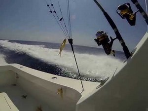 30 knots on a Viking 61 Sportfish