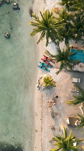 Discover the most visited hotel in Isla Mujeres and meet travelers from all over the world. Book now in Mayan Monkey! 🐒☀️ | Mayan Monkey Hotels