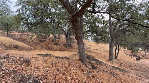 2.2K views · 33 reactions | I need your opinions… I’d like to host an adventure event in a truly remote location that requires genuine ADV skills to participate? Watch the video and drop a comment below? Thank you! | RawHyde Adventures | Facebook