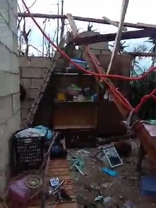 A typhoon Odette survivor in Bohol in the aftermath of December 16, 2021 Category 5 cyclone. #helpbohol | The Bohol Monitor