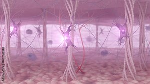 Activation of fibroblasts and the restoration of collagen fibers within the skin’s extracellular matrix. A skin tissue before and after a wrinkle-reducing anti-aging treatment. 3D animation