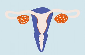 Menstrual Cycle Phases: Stage by Stage and How They Change | Ro