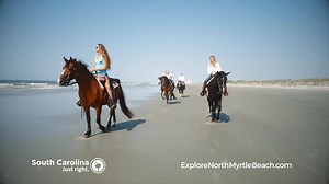Plan your family vacation at the beach today! | Explore North Myrtle Beach