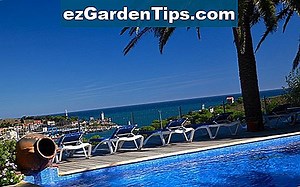 Faits sur le cèdre d'Alaska pleureur 🌱 Conseils Jardiniers - Fr.ezGardenTips.com