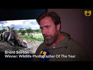 Wildlife Photographer of the Year 2017 by WinkBall