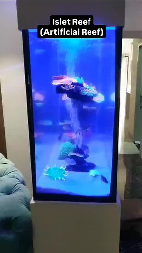 #marine #marinerocks #aquarium #artificialcoral #artificialcoralreef #artificialcoralreef #indianaquarium #aquascape #fakerocks #fakecorals #fakecorals #coralrock | Abraham Arick