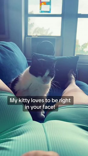 Happy Hump Day! | Margot Sweets