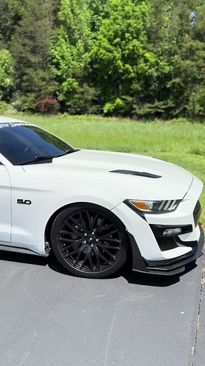 Mustang Girls: Celebrating Lady Drivers in American Muscle