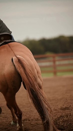 #barrelracing #wpra #prca #prorodeo #prcarodeo #aqha #rodeotok #rodeo #barrelracer #barrelracingtok #barrelhorse #barrelhorses #barrelrace #jackpotbarrelrace #jackpotbarrelracers