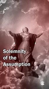 3.5K views · 793 reactions | Today is a holy day of obligation! If you can’t make it to Mass, simply search for the CatholicTV Mass on YouTube or download our app. | The CatholicTV Network | Facebook
