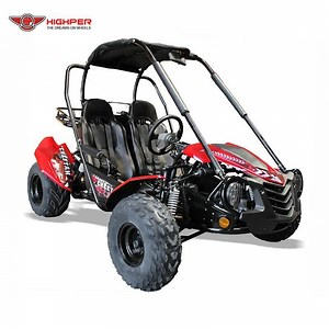 [Hot Item] 150cc Adult Gas Powered 4 Stroke 2 Seaters Karts Karting Beach Dune Buggy Go Kart