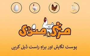 Poultry Baba And Broiler Rate | Daily broiler and poultry markets | Poultry farm business plan. #DailyPoultryRates #DailyBroilerRates #BroilerRates #BroilerRateinPkaistan #TodayBroilerRates #DailyBroilerMarket #TodayBroilerMarket #OnlineBroilerMarket #BroilerPrices #BroilerProduction #BroilerIndustry پولٹری بابا ایپ کو ڈاؤن لوڈ کرنے کے لیے اس لنک پر کلک کریں https://play.google.com/store/apps/details?id=com.poultrybaba.flutter | Poultry Baba