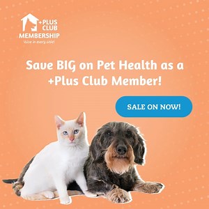 What is a Plus Club Membership perk? Massive discounts each month on flea, tick and worming brands 🐾 Check out our Plus Club Member Catalogue here: https://bit.ly/2QA5eGZ Specials only available in-store until 24th September 2023. #thehomeforpets | Pets Domain