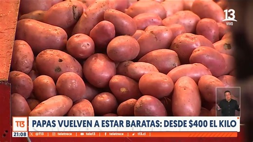 En el 2023, uno de los principales productos que aumentó su valor fueron las papas, las cuales llegaron a altos precios. Esto quedó en el pasado, ya que el kilo de la verdura volvió a estar barato, lo que es celebrado por miles de familias chilenas. | T13