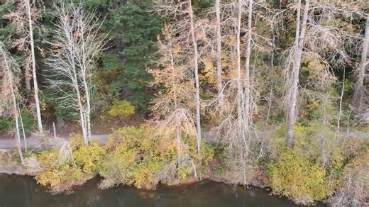 We caught up with 800m Olympian and Brooks Beast Athlete Brandon Miller for an early season 4xmile workout. The team was in Bellingham, Washington for its first training camp of the 2025 season build. #WorkoutWednesday | FloTrack