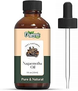 Organic Zing Nagarmotha (Cyperus Scariosus) Oil | Pure & Natural Essential Oil for Aroma, Diffuser, Skincare & Massage- 30ml/1.01fl oz