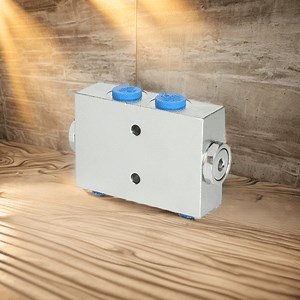 [Hot Item] Heavy-Duty Cast Steel Hydraulic Control Valve with Safety Lock