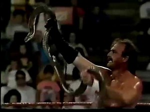 Update on Jake Roberts-Undertaker/Sid feud (10-26-1991)