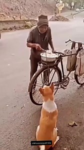 10K reactions · 7K shares | Eu não sei o que é mais bonito nessa cena a força e a coragem do idoso , ou um animal matando sua fome #CAO #cachorros #amorpelosanimais | Edna Nagase | Facebook