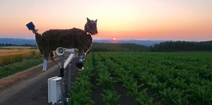 Tehnologie contra natură: Cum folosesc japonezii lupi mecanici pentru a speria urșii agresivi