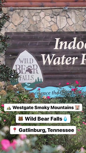 📍 Westgate Smoky Mountain Resort & Water Park 💦 Wild Bear Falls Water Park Splish, splash, and slide at Wild Bear Falls! Westgate Smoky Mountain’s indoor water park! 🐻🏊🏽‍♀️🤿 #westgateresorts #waterpark #gatlinburg | Wild Bear Falls Water Park
