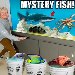 Building Giant Fish Room! 🐟 | The Fish Guys