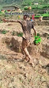 2.8M views · 53K reactions | #LikeFollowShare #goviral ropai | Niraj Xettri | Facebook