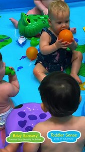 麗 Baby Shark Adventure Time! 麗 This week, our little explorers...