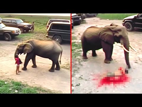 If These 20 Zoo Moments Were Not Filmed, No One Would Believe It