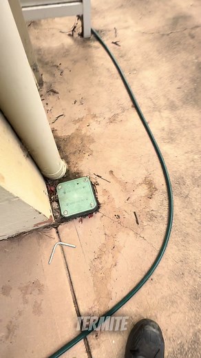 Expert Termite Reticulation System Servicing in Sydney