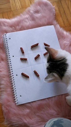 Jessie.run4schokii on TikTok