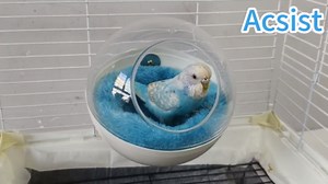 Bird Nest, Warm Bird Bed for Cage, Clear Parrot Nesting House Hanging Parakeet Cage Accessories for Lovebird, Canary, Budgie, Finch, Hamster (Clear)