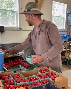 Jean-Martin Fortier on Reels