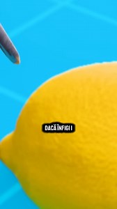 569K views · 9.3K reactions | Cum Funcționează O Baterie Cu Lămâie 樂 #curiozitati | IBMFamilyEdits | Facebook