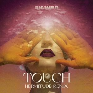 Big Wild - "Touch (Hermitude Remix) out now  'Touch (Reworks)' EP out July 24. bigwild.lnk.to/touch-reworksLF | Counter Records | Facebook