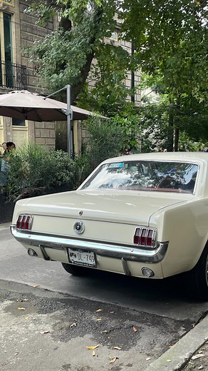Iannua Landa on Instagram: "Después moví la mesa y me tiré todo el café encima 🥲☕️💗 . . . . . . . . #lipgloss #makeup #coffe #autumn #gloss #lipstick #girl #girly #makeupaddict #kiss #love"