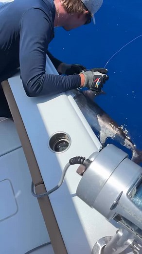 Keep your engine hours down and control your drift with precision with Rhodan Marine! @budnmarysmarina recently went 3 for 3 on swords on their 28’ Freeman. This little guy was safely released! Shop now at rhodanmarine.com #rhodanmarine #fishing #trollingmotor | Rhodan Marine Systems - GPS Trolling Motors