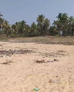 *Property id 3005* *Beach facing property for sale in Baindur - UDUPI* Beach facing property *Location: Baindur* Udupi district Area: 2.15 acres *Price: 2.5 laks per cent* 2 door numbers Clear title Ready for registration Cal/ whstapp 9535431839 | GREEN Realtors | Facebook