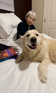 Dis Roadtrip PollyPops wake Granny at college. 😍 Road-trip PollyPops | Along Came Polly, Rosie and Bubba