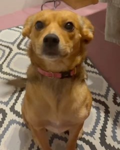 21K views · 61 reactions | Marisa Liz on Reels | Facebook