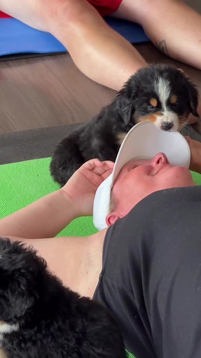 Experience Therapeutic Puppy Yoga in Muskoka
